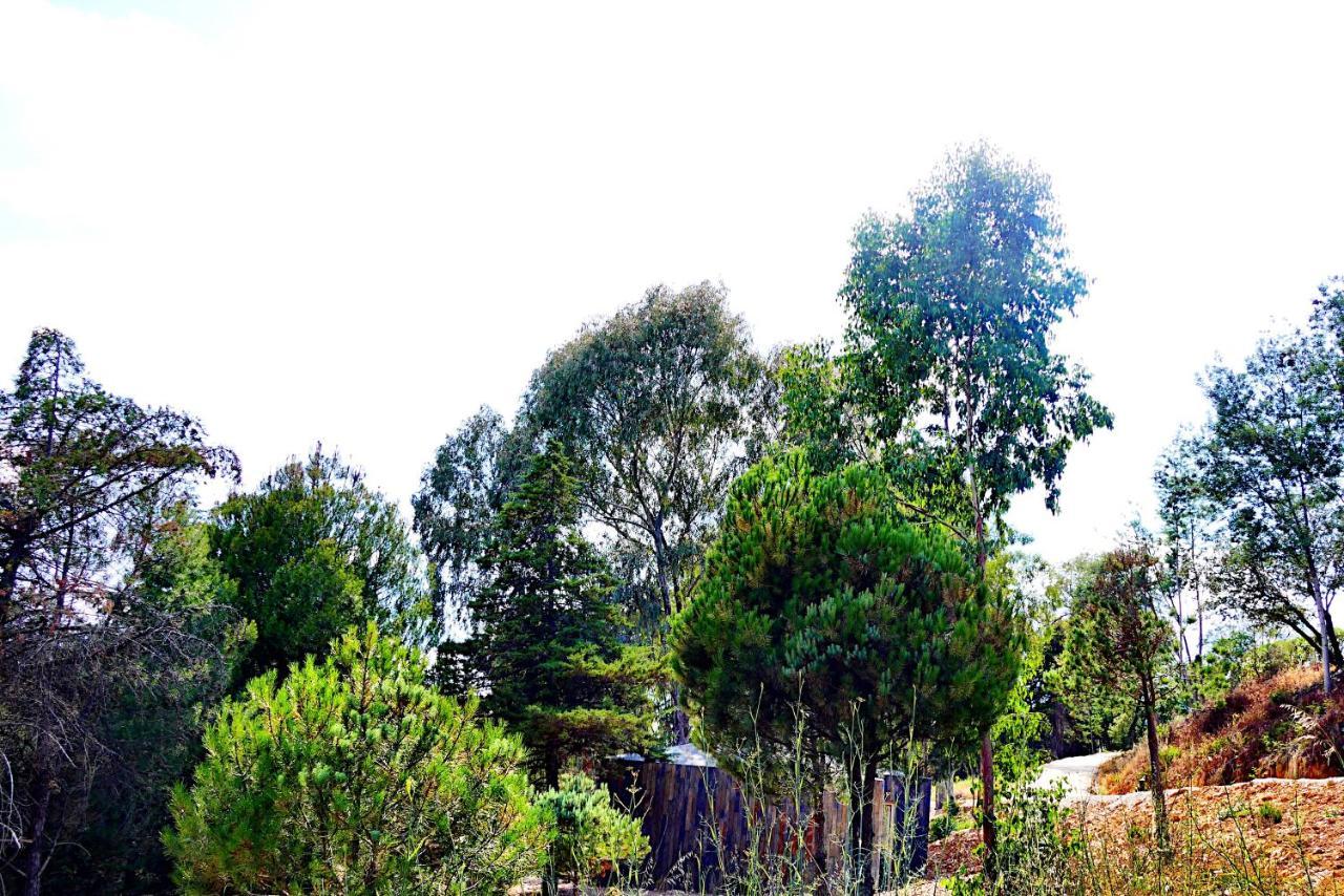 Herdade Clube Tiro Monfortinho Exterior foto