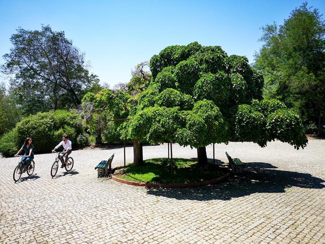 Herdade Clube Tiro Monfortinho Exterior foto